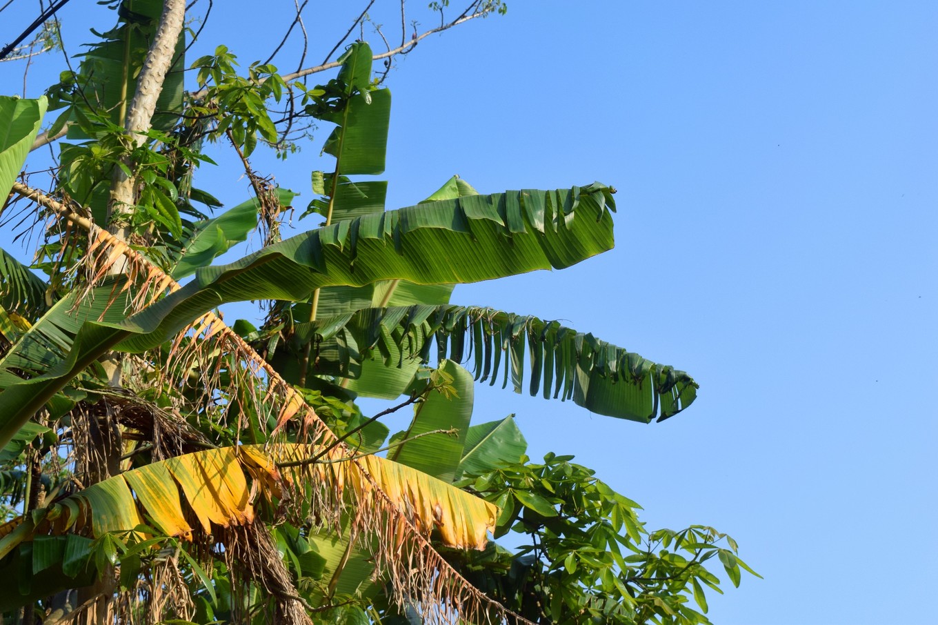 地图迷穷游中国之北海,穷游北海怎么玩