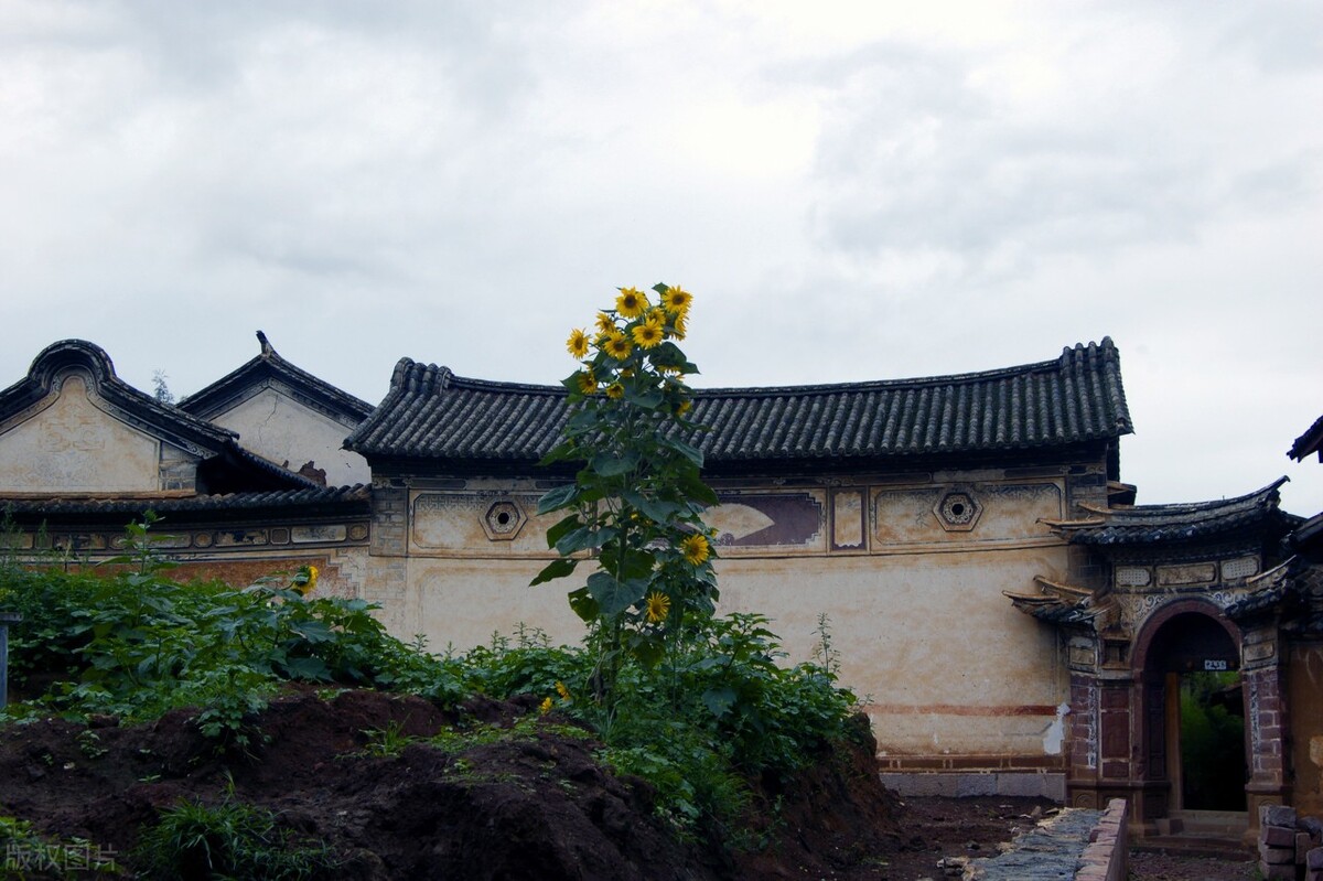 郭进拴作品大全,郭进拴全部视频