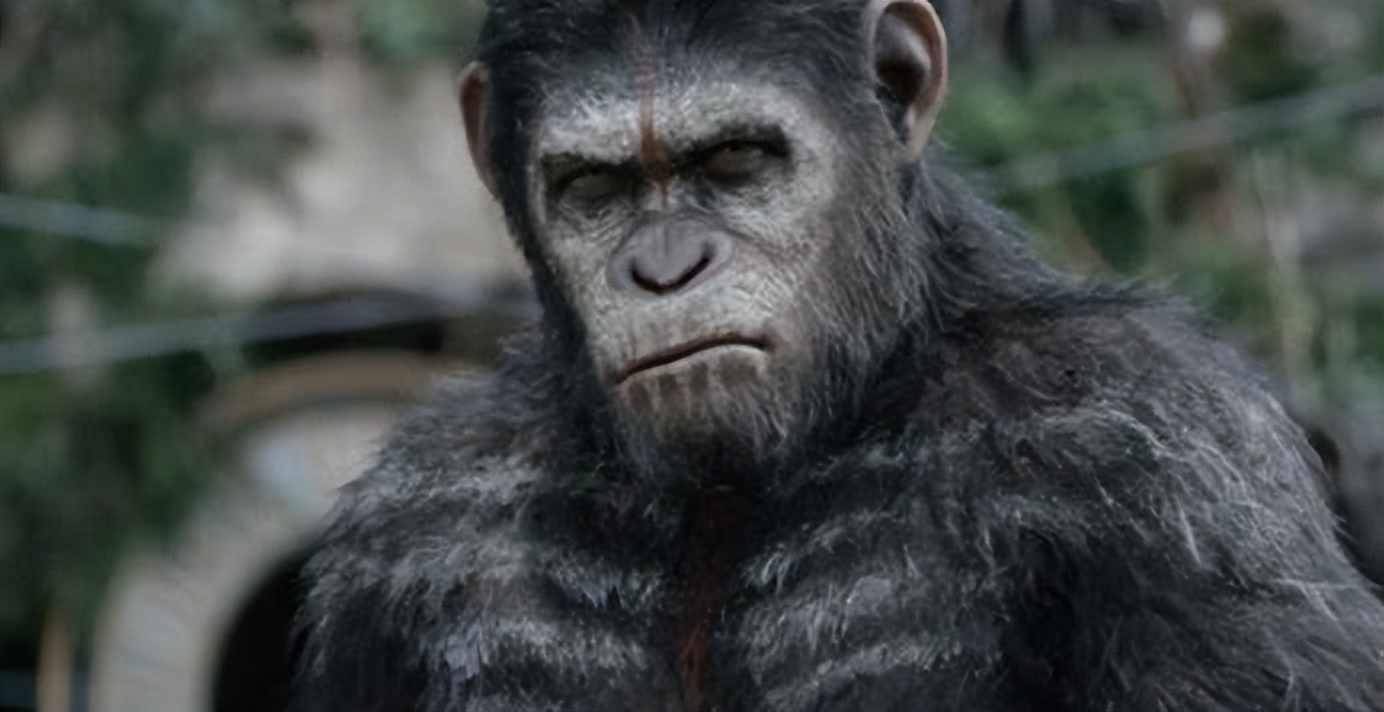 人类真的能杂交吗,人类动物能混血吗