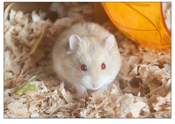 纯新手如何玩lol,纯新手如何玩剑3手游