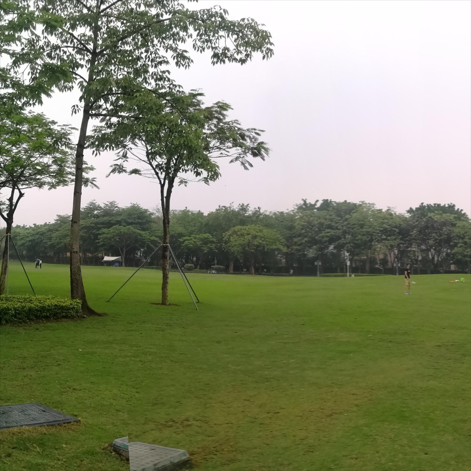 打卡广州地铁7号线,打卡广州最美7公里