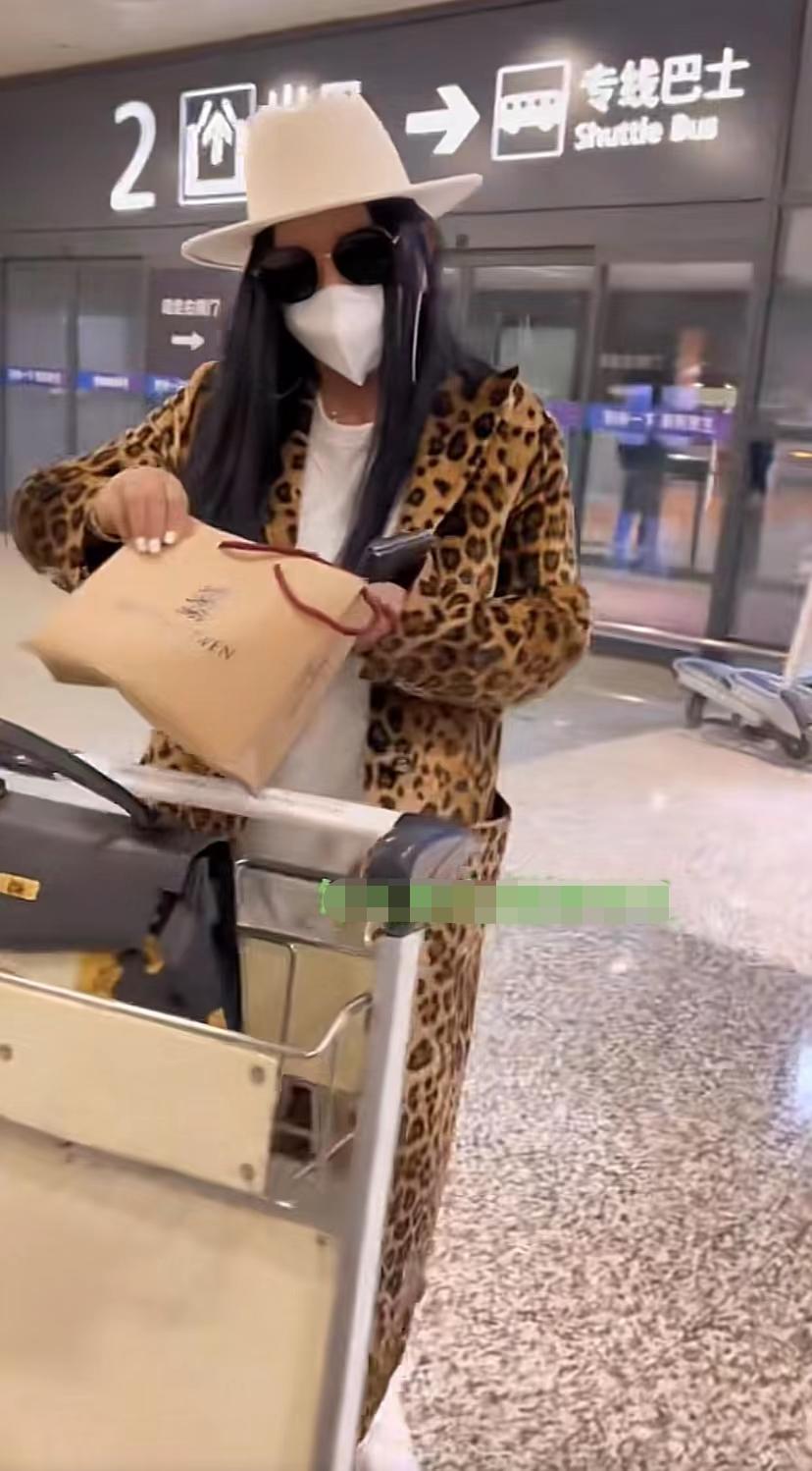 张惠妹年轻穿着,张惠妹罕见现身机场