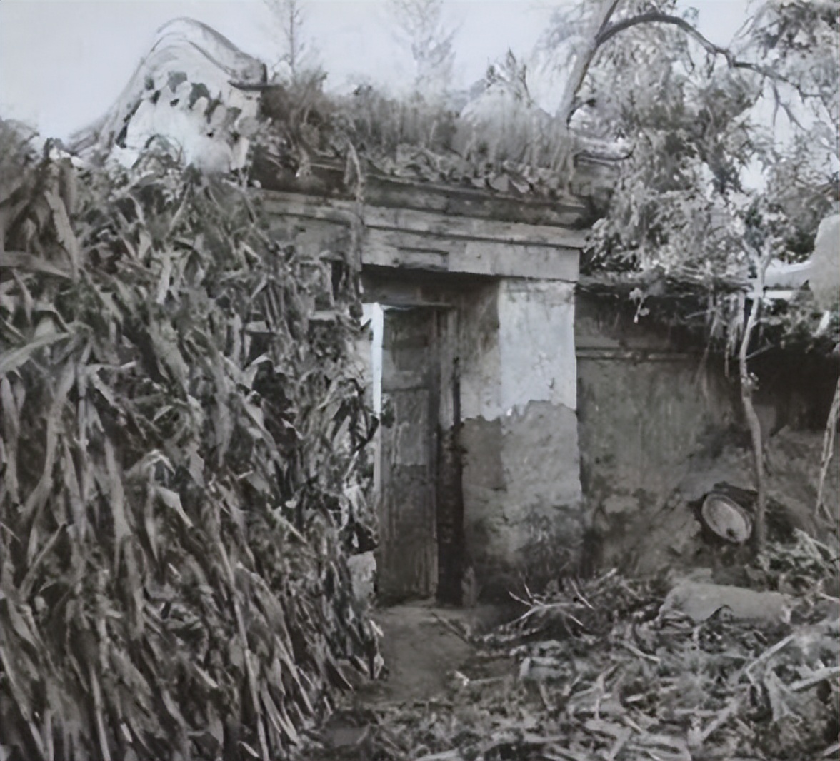 李宝成流氓案怎么判刑,李宝成性侵案