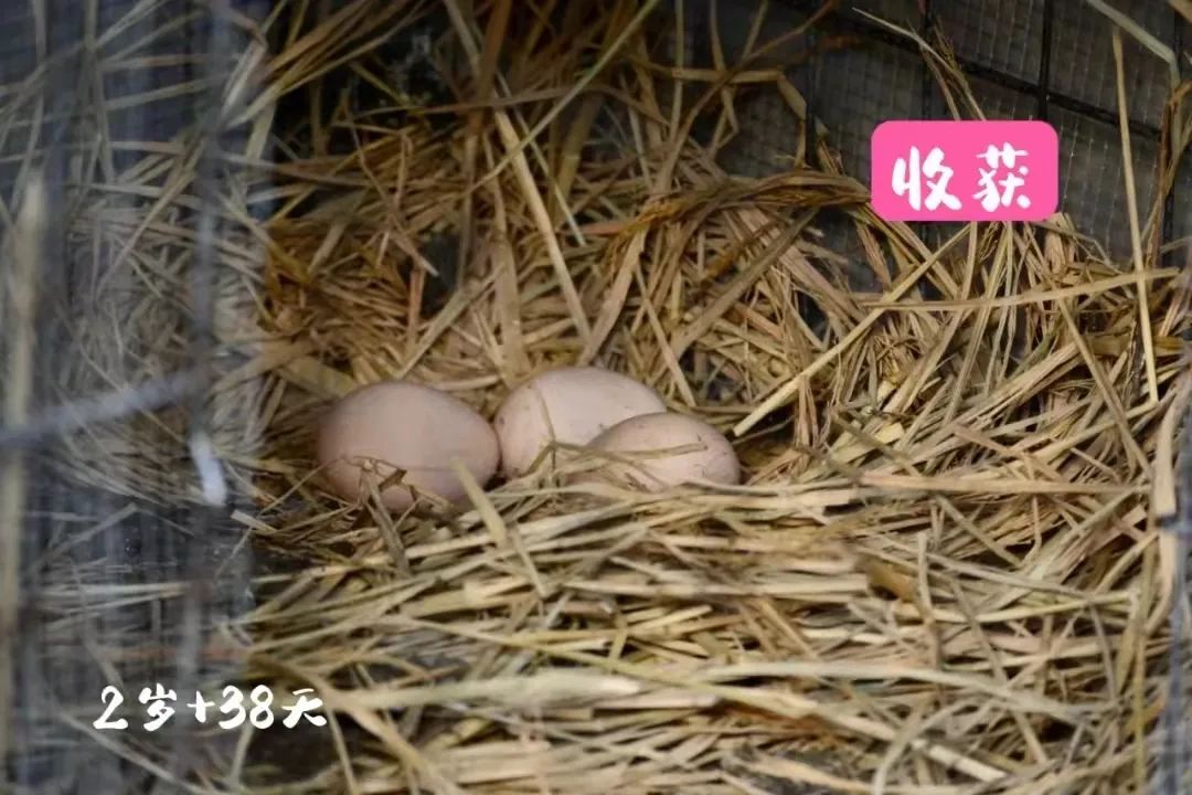 艺哲|大理EcoHouse,一家三口四年零垃圾生活