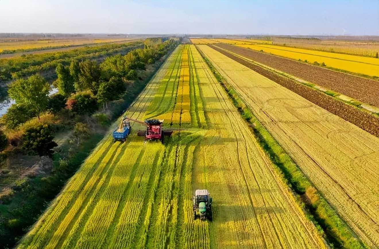 农产品区域公用品牌如何实现“长红”？张开明谈射阳大米创牌实践