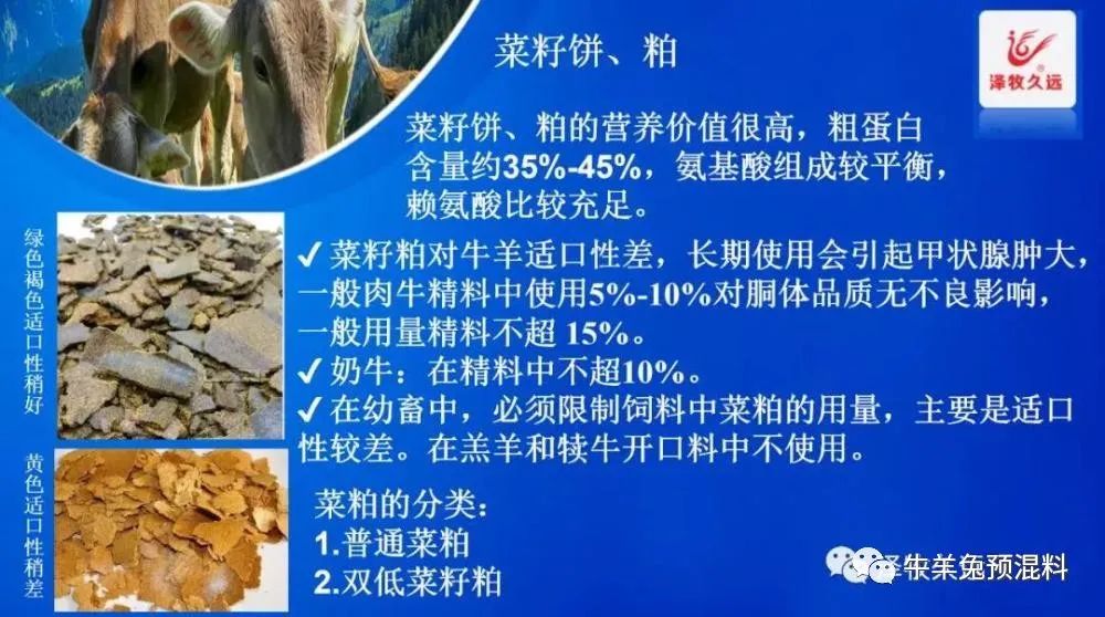 豆粕暴涨严重影响养猪业,豆粕疯涨能用什么替代