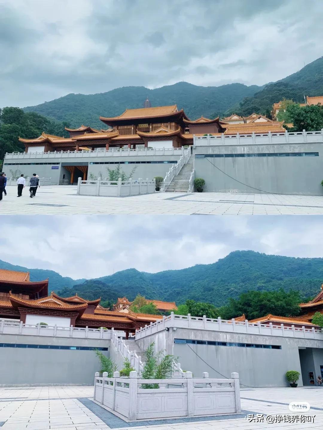 仙湖植物园门票多少钱,仙湖植物园值得打卡的地方