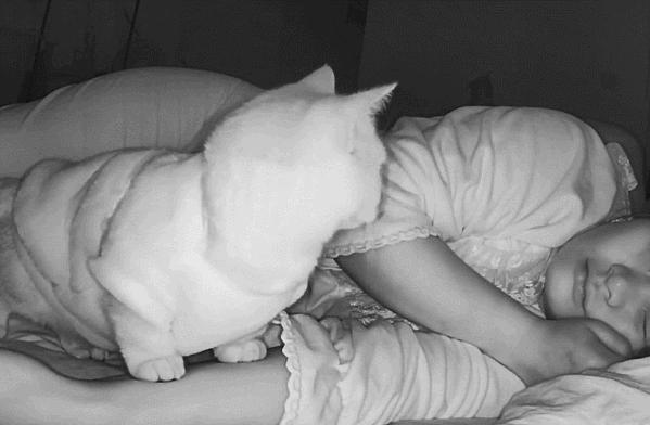 女子怀孕突然疼痛了,怀孕期间胳膊疼痛难忍