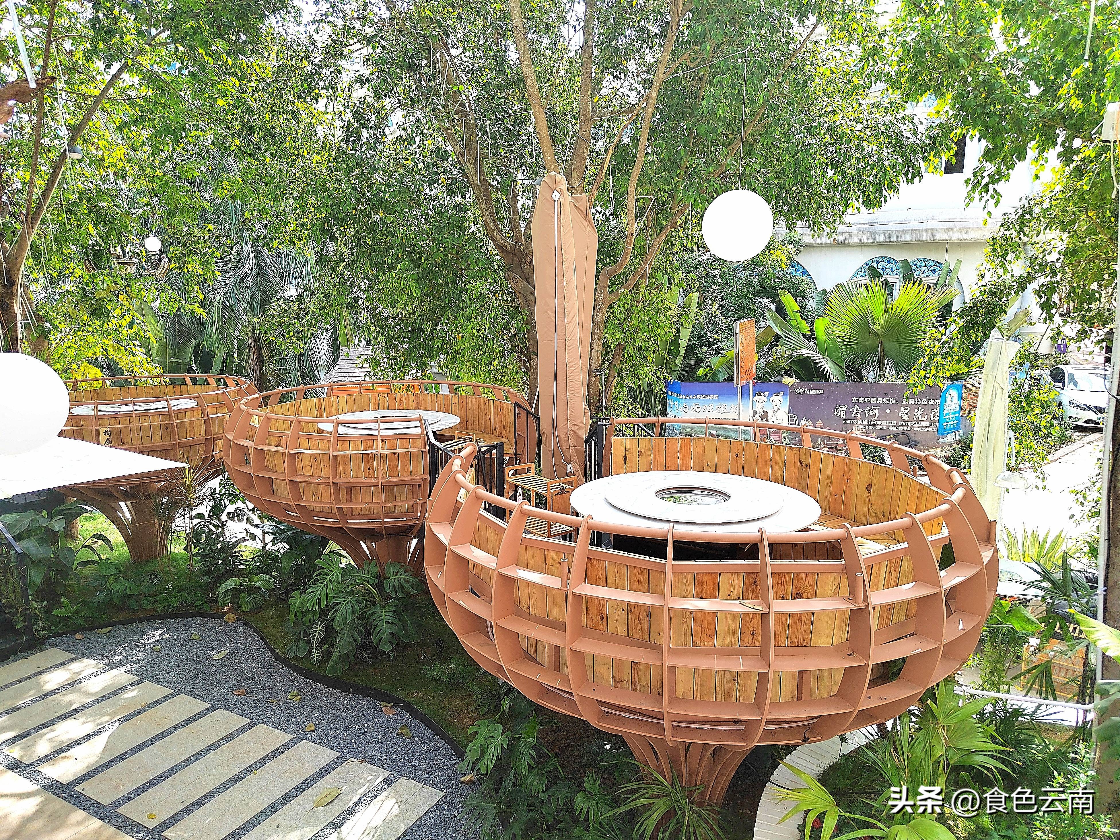 菌海森林野生菌火锅西双版纳,西双版纳野生菌推荐