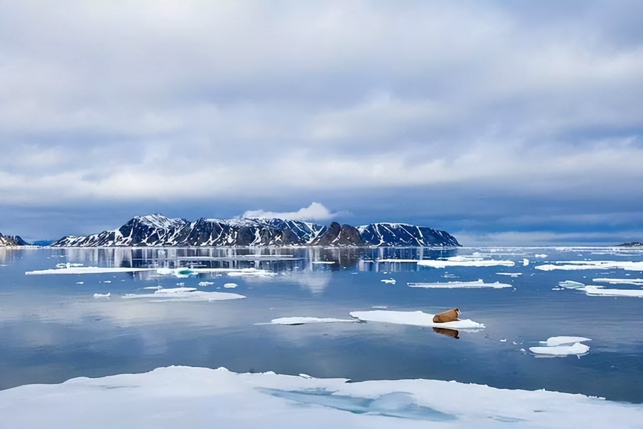 最近对中国免签6个国家,对中国免签的国家无时间限制