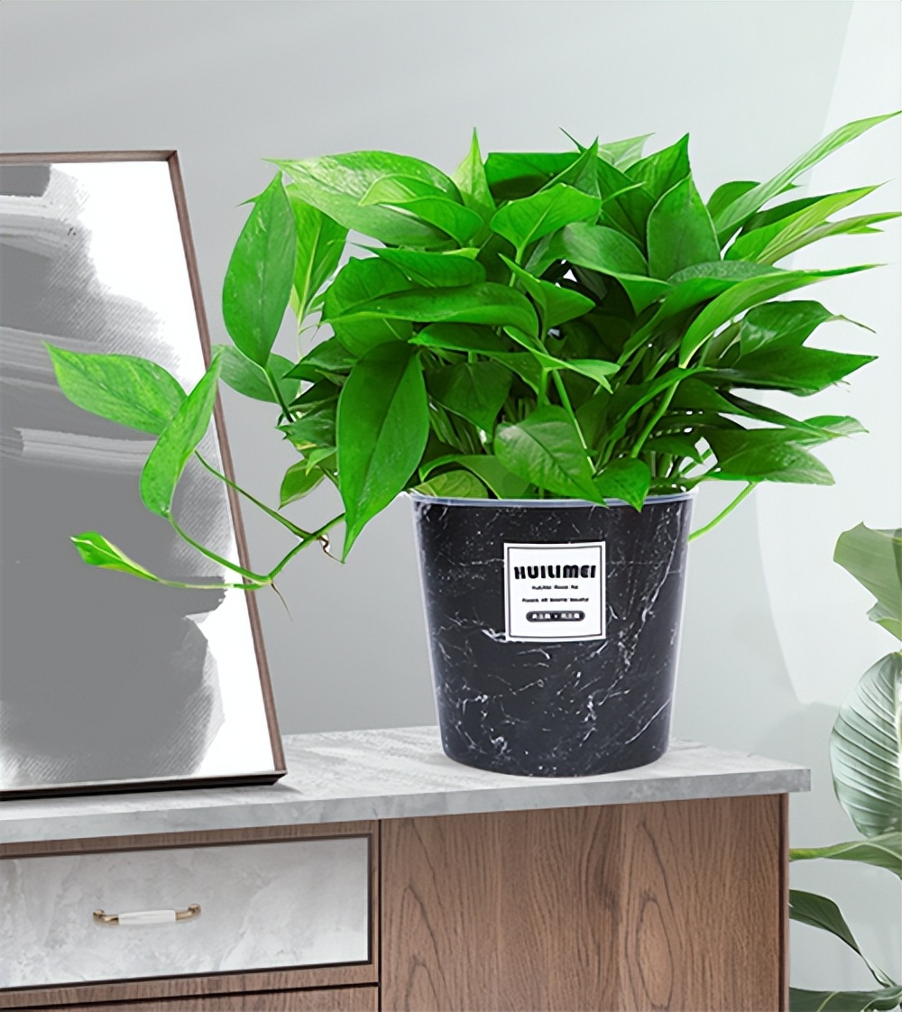 装修地板砖上有甲醛怎么去除,家里装修完放什么能去除甲醛