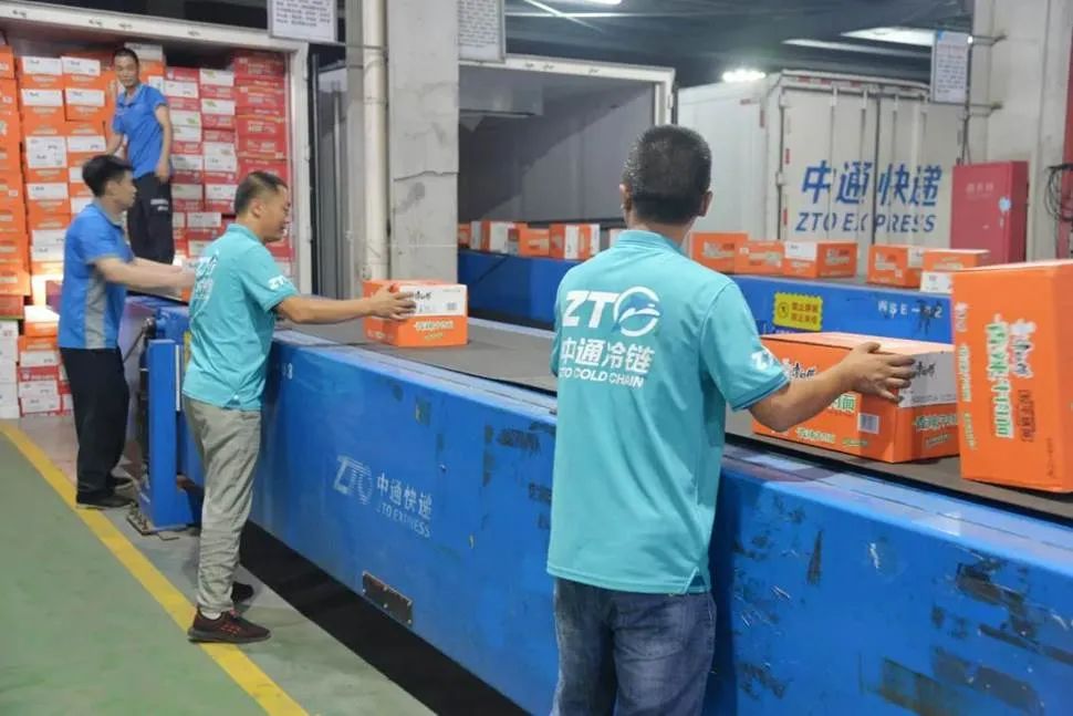中通“冷面孔”：直营混搭加盟+猫武士，如何突围散装中国冷链？