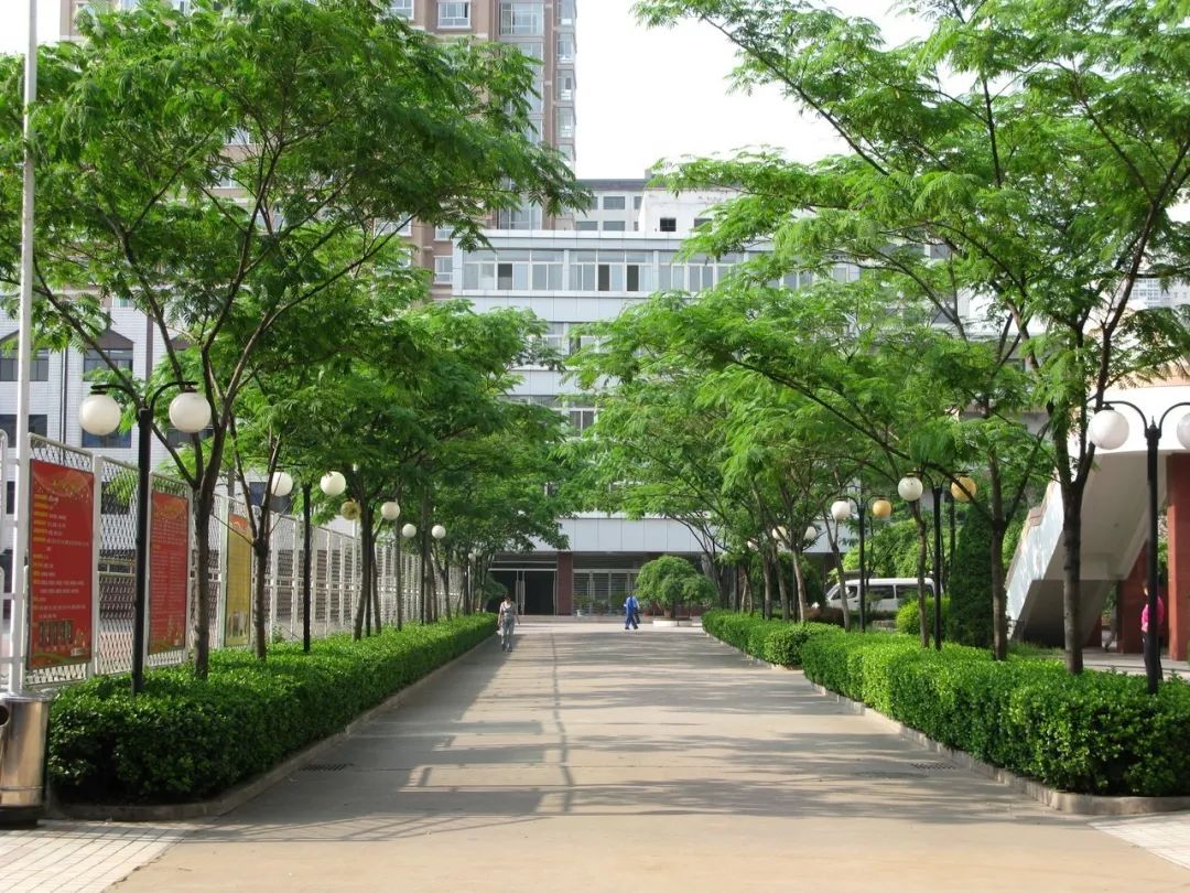 太原五中2021特长生招生简章,太原市成成中学体育特长是什么