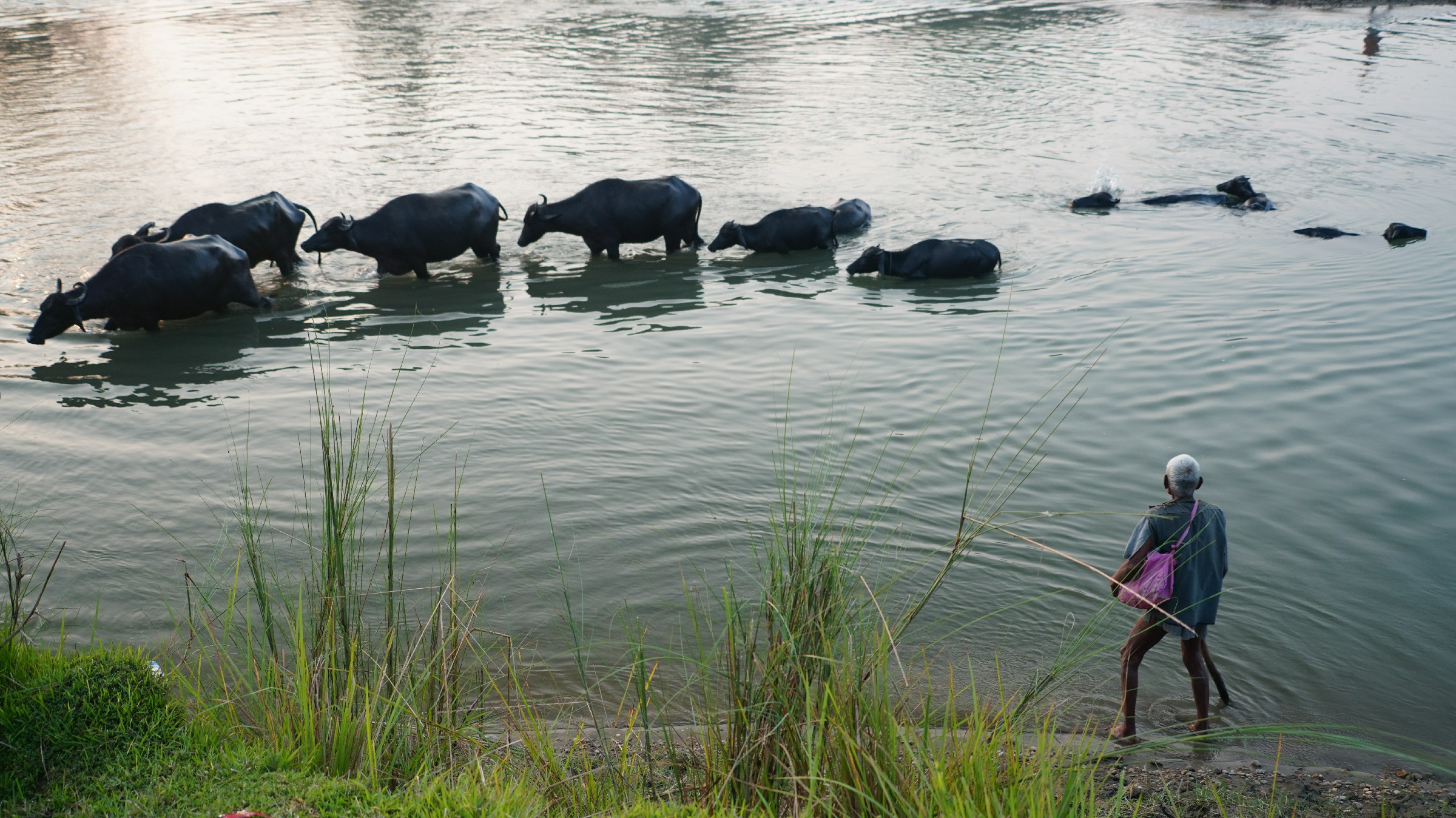 云中鹤游学,云中鹤户外
