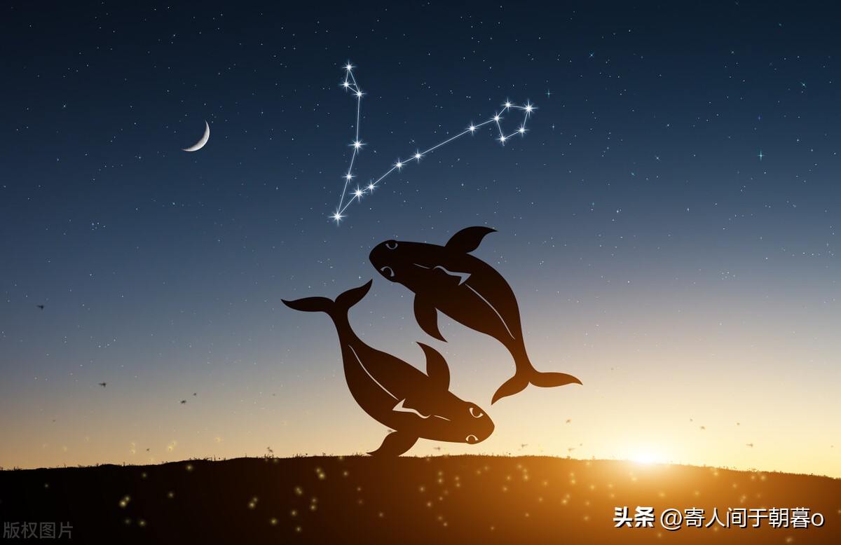 玫瑰星座和金夫人星座配对,土象星座配对是什么星座的