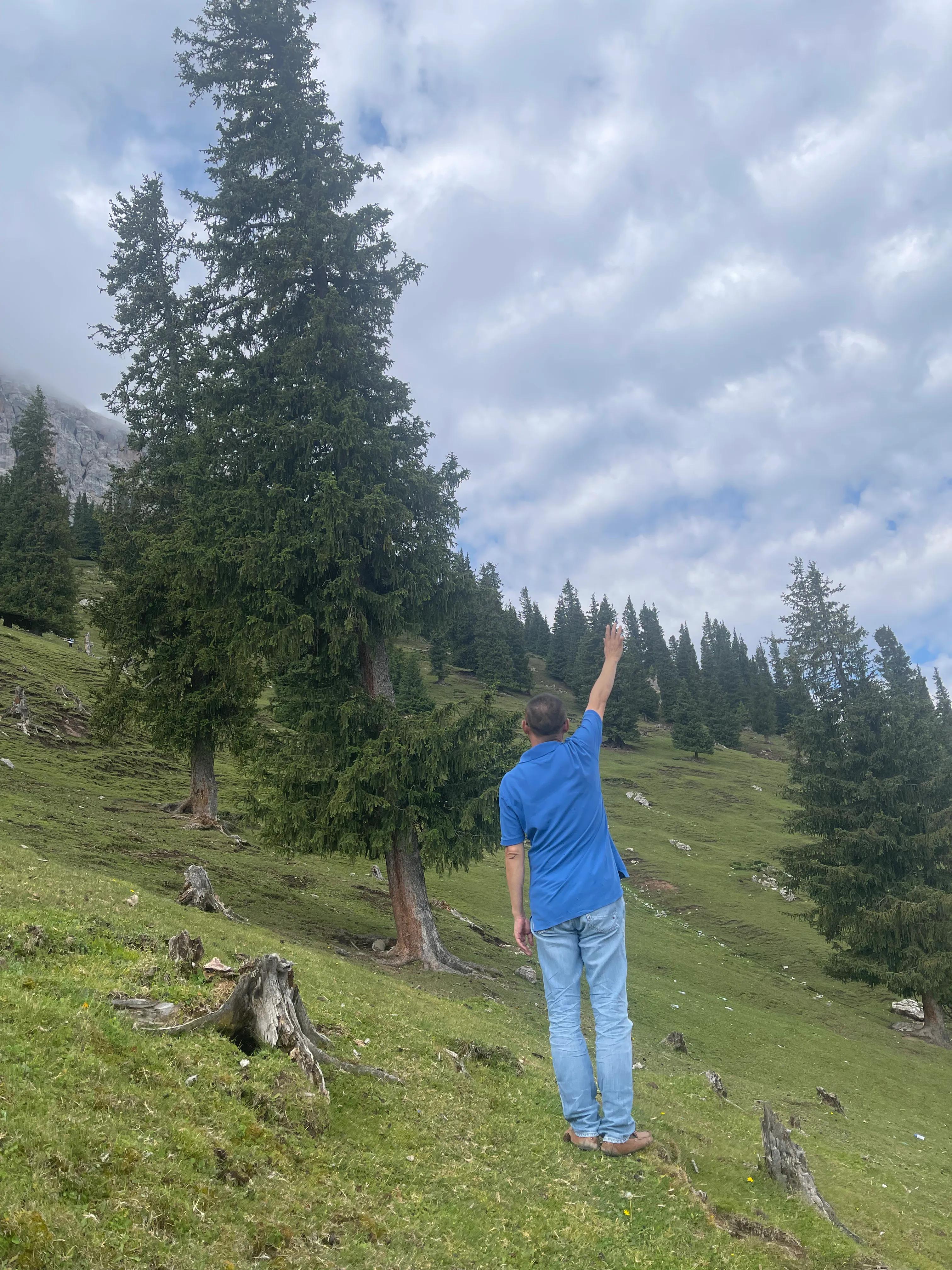 伊犁徒步穿越古道,伊犁昭苏县夏塔古道图片