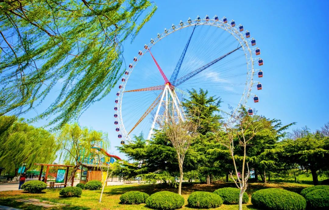 美爆了济南这些地方成网红打卡地,2019年济南网红打卡地瀑布树林