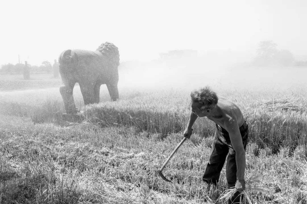 大师级摄影作品背后的五大法则,大师是怎么炼成的