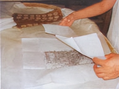 飞蚁防治小妙招,收获蚁怎样保产