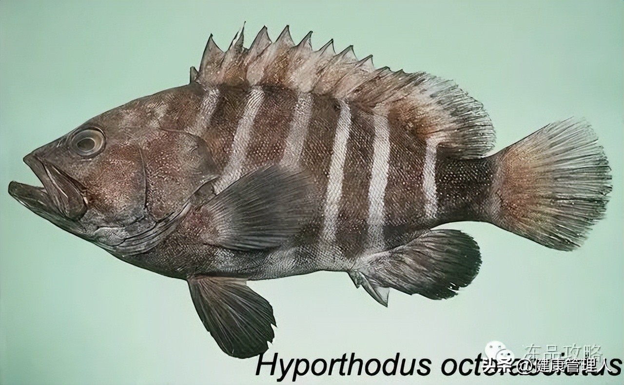 美容护肤食疗方案,美容护肤养生介绍