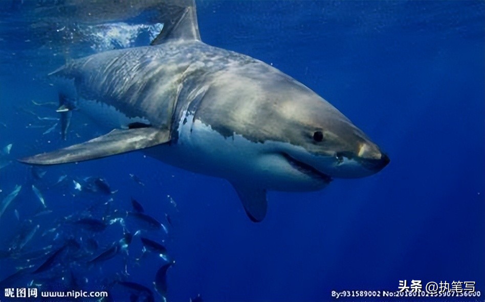 细思极恐的冷知识,细思极恐的冷知识最火