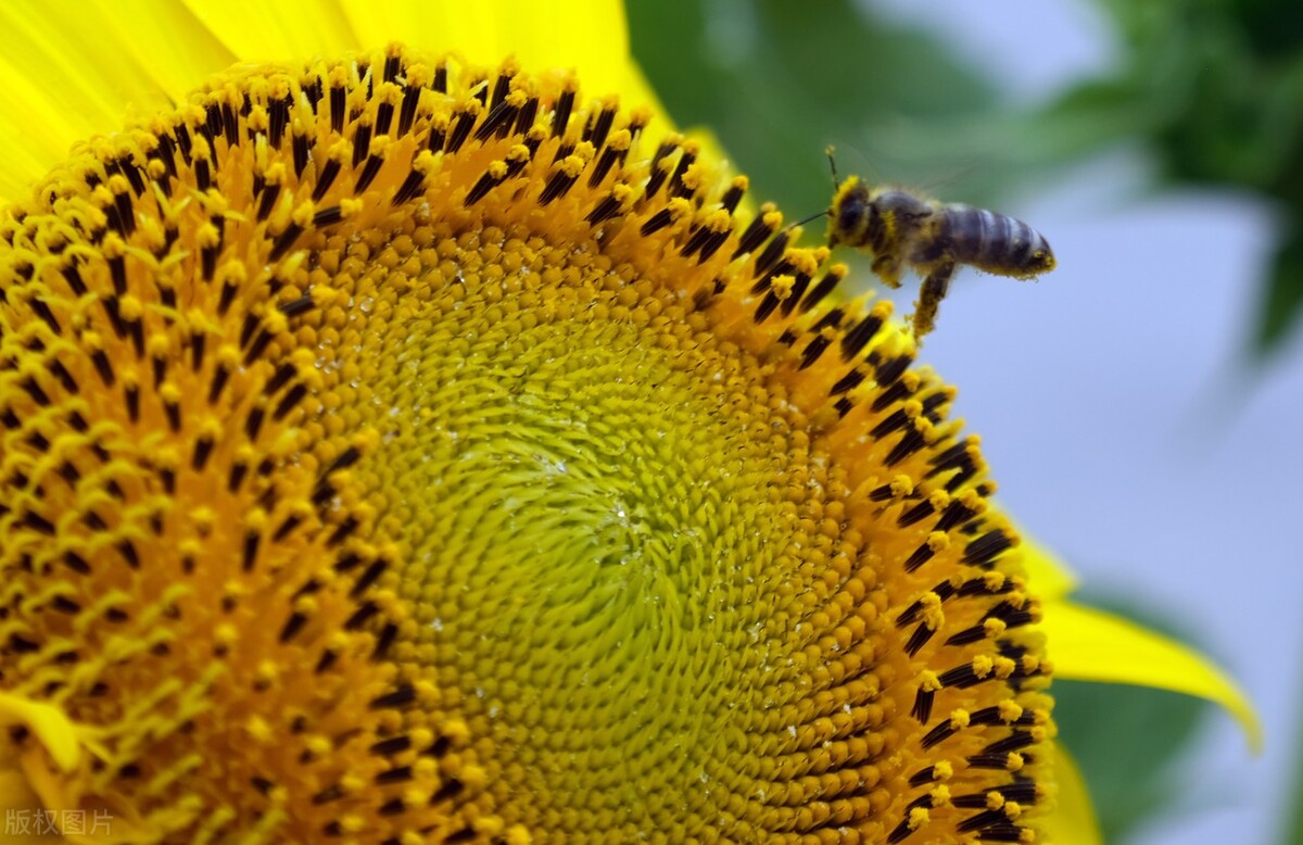 刘渡舟著作有哪些,刘渡舟真实历史