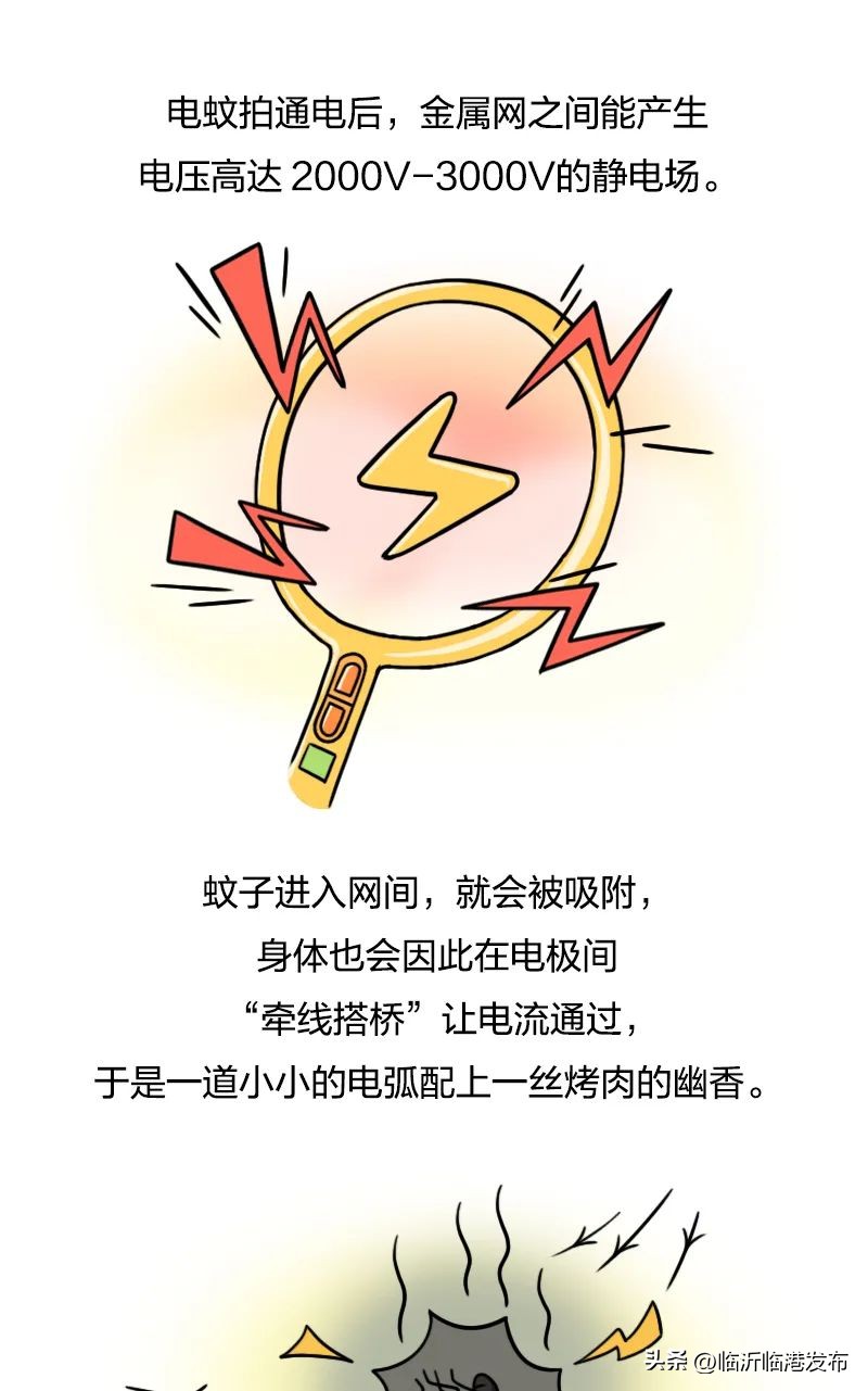 蚊子太毒怎么处理,彻底绝杀蚊子的妙招