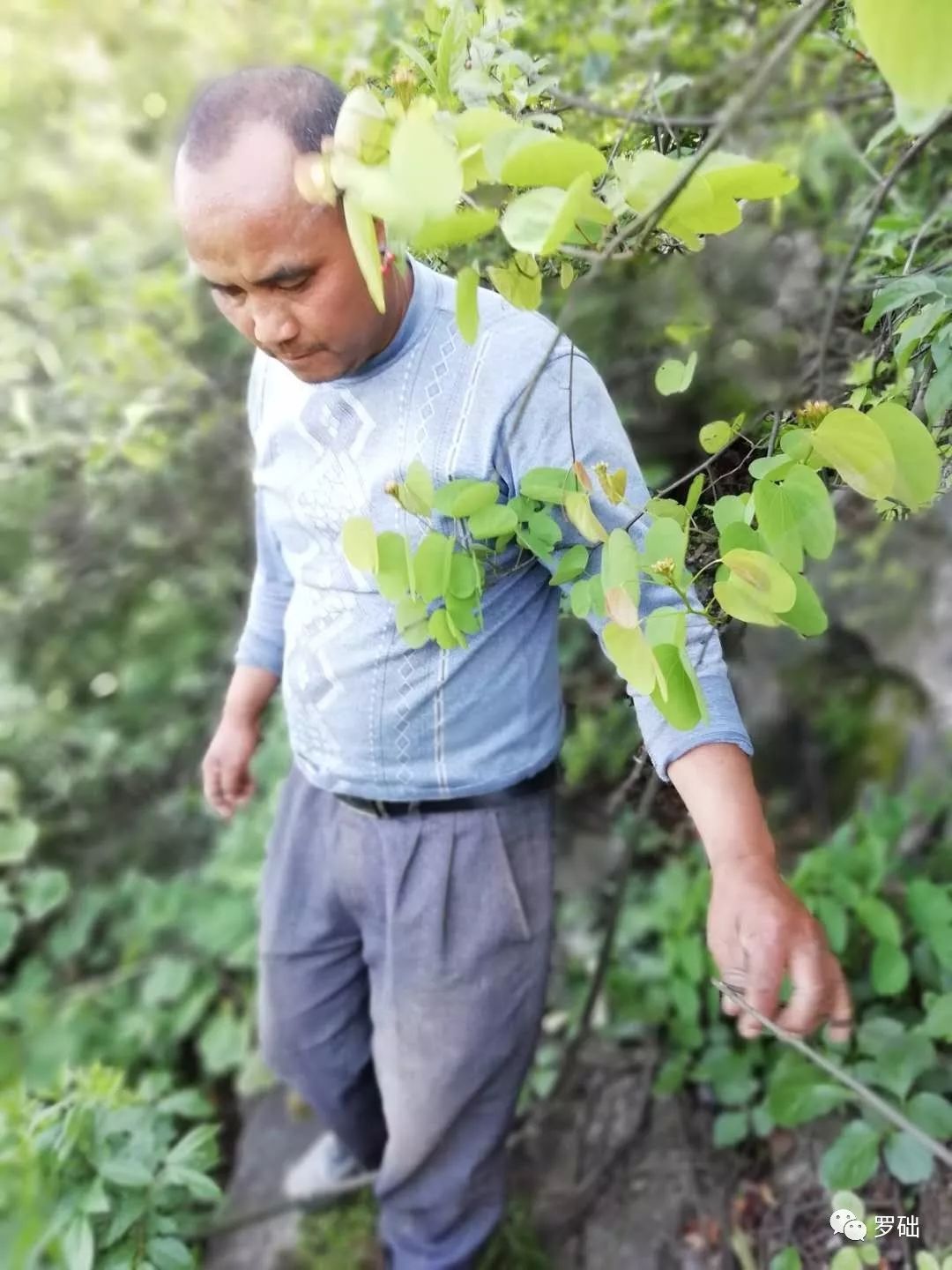 鐭虫湪灞卞,鐭虫湪瀵ㄥソ椋庡厜