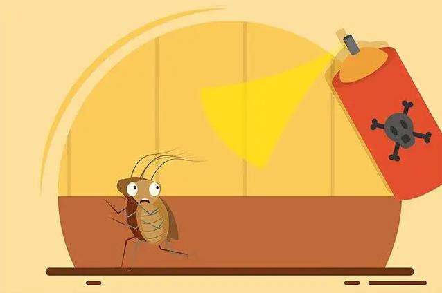 治蟑螂的最佳方法蟑螂最怕什么,驱赶蟑螂却不杀死蟑螂的方法