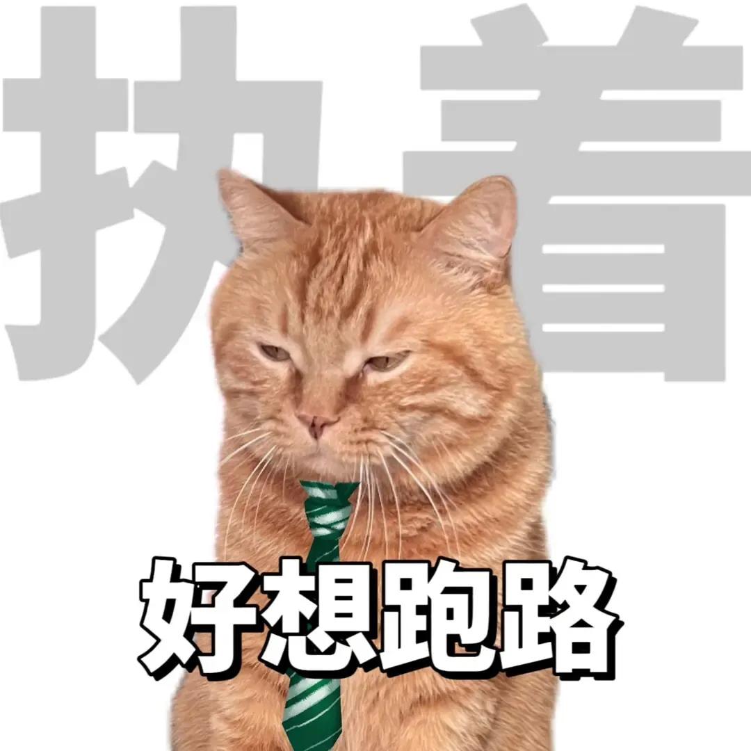 上班的我下班的我表情包,上班与下班的区别表情包