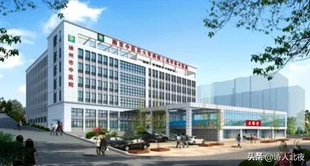 江苏的中医院排名前十,江苏省中医院最好的中医是哪几位