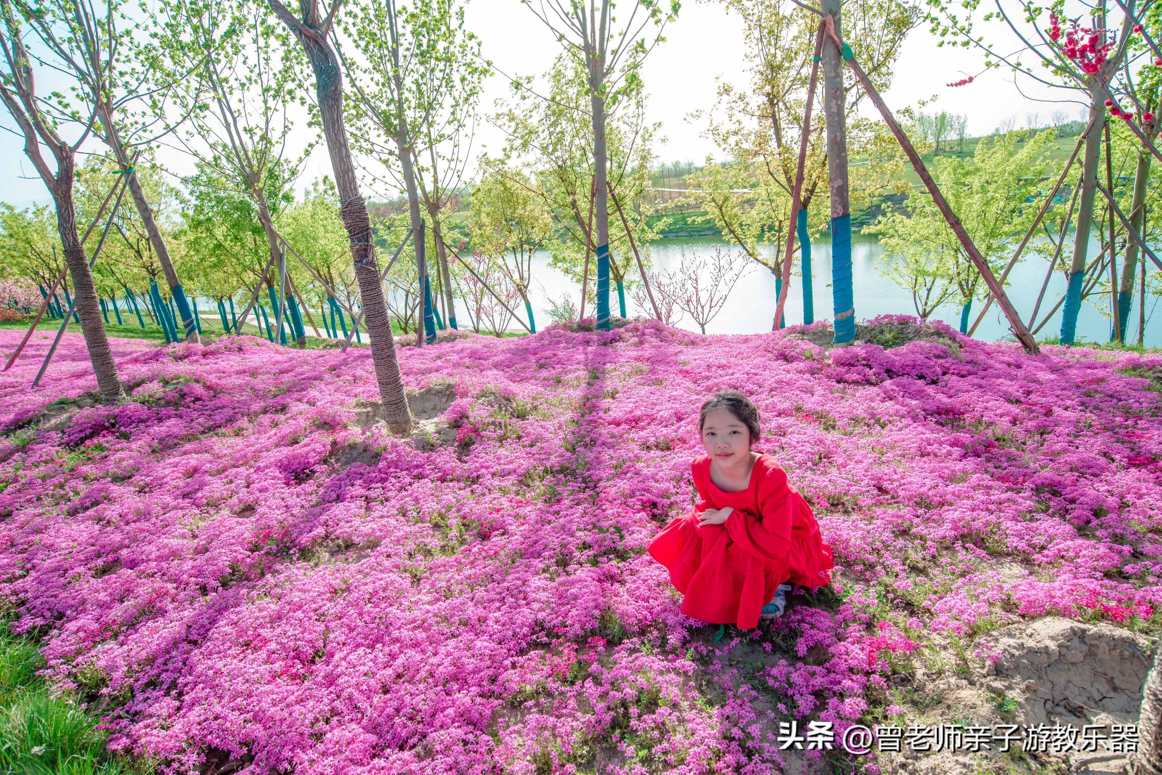 西安市内旅游必去景点攻略一览表,西安五天旅游景点攻略大全