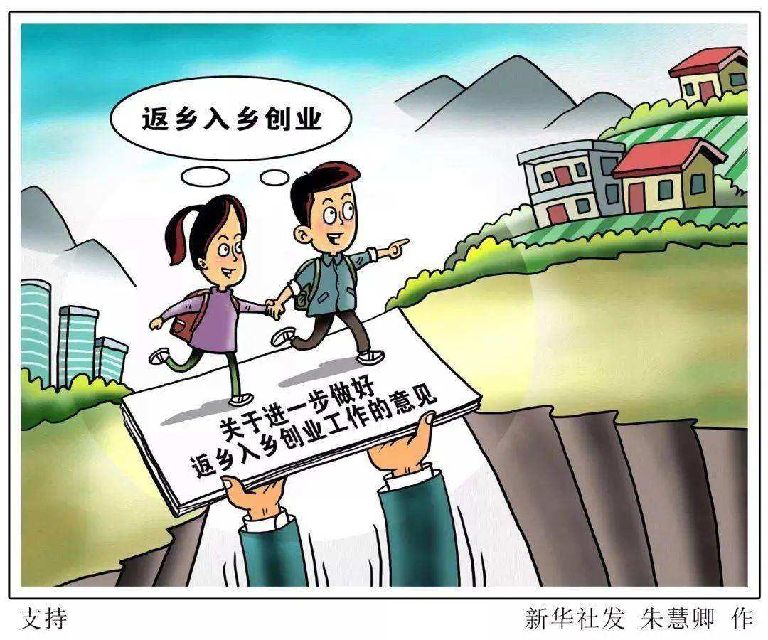 农村创业做什么最适合,乡镇小型创业项目