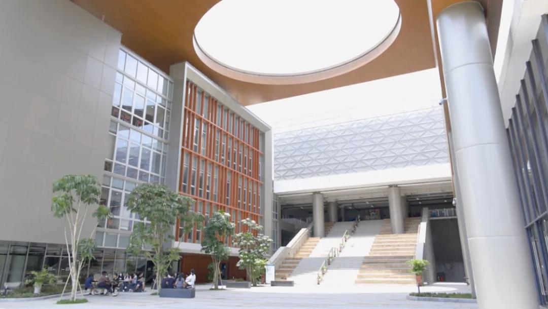 大湾区世界名校,大湾区国际学校发展现状
