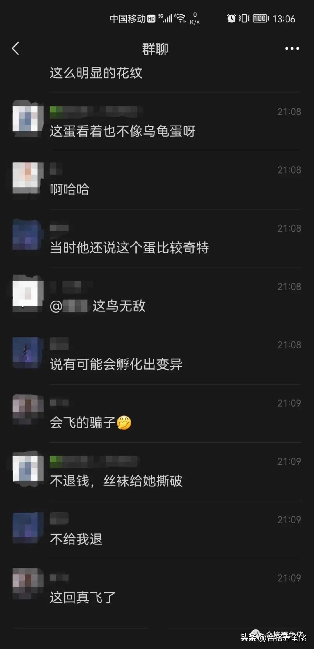 这个龟蛋事件，真是让人不知所措