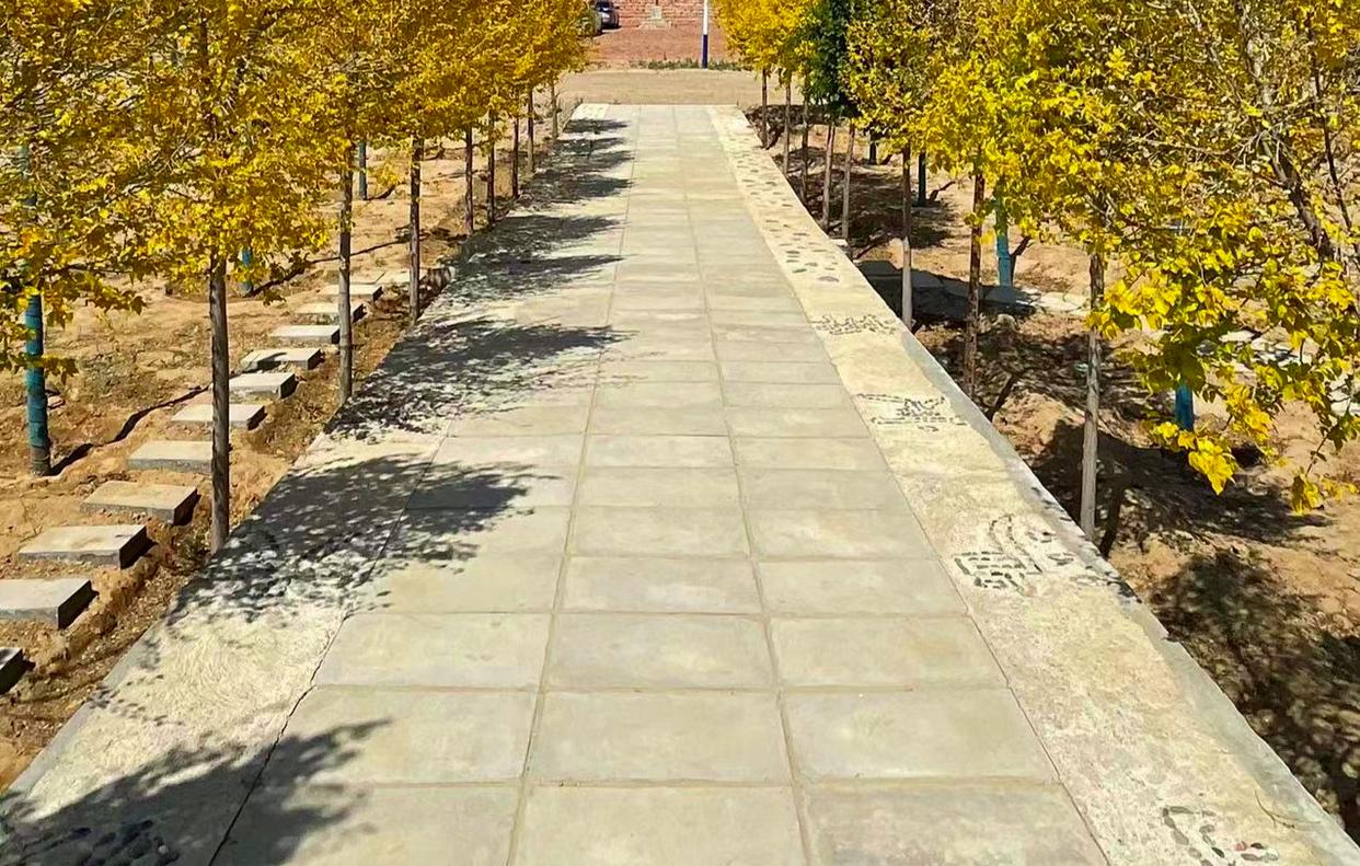 兄弟姐妹之间永远不要空着手来往,人到老了才明白兄弟姐妹之间交往