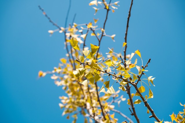 自我提升的8个方法,自我提升的8个好习惯迷茫时看