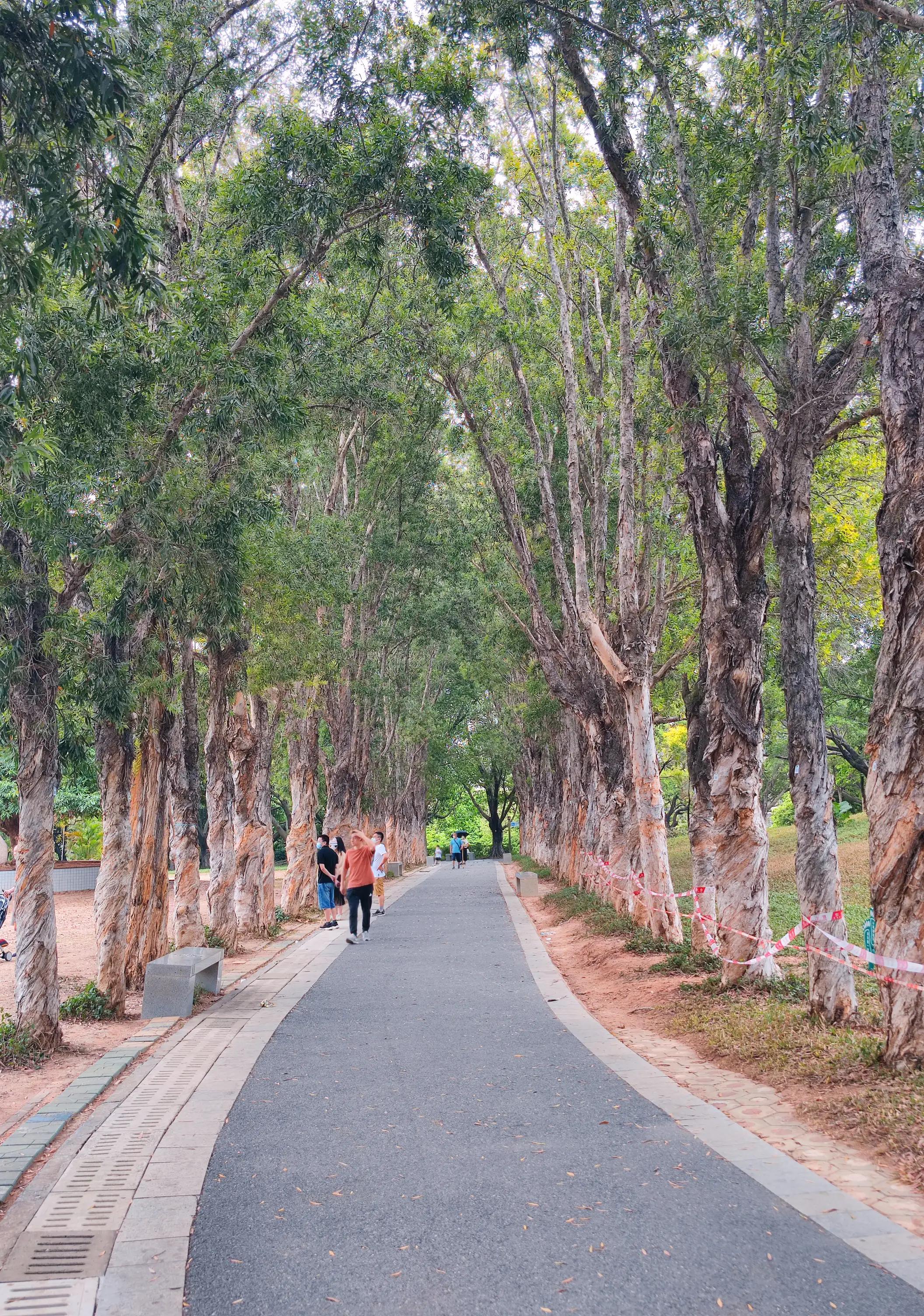 被相亲对象拒绝了还接受我的礼物,相亲对象拒绝我却不删我也不拉黑