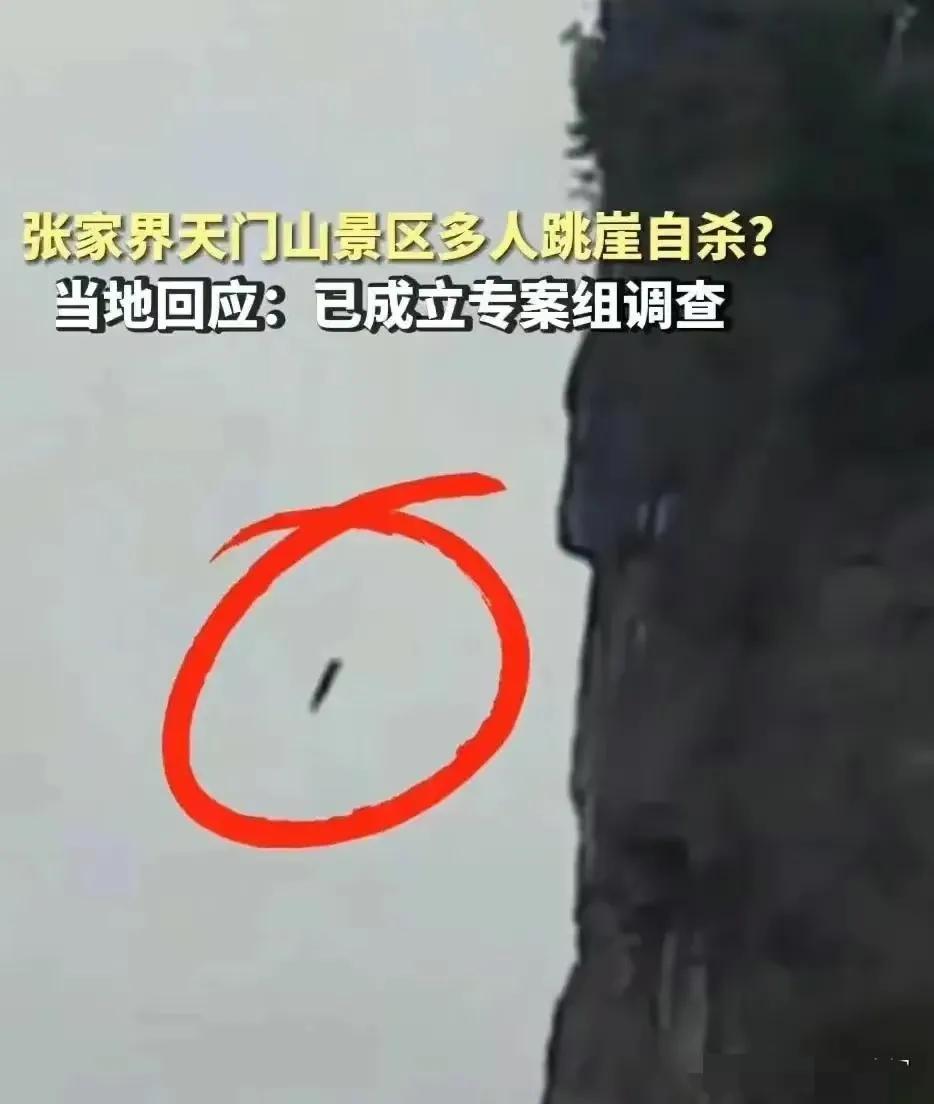 天门山三男一女跳崖事件,天门山跳崖的4人