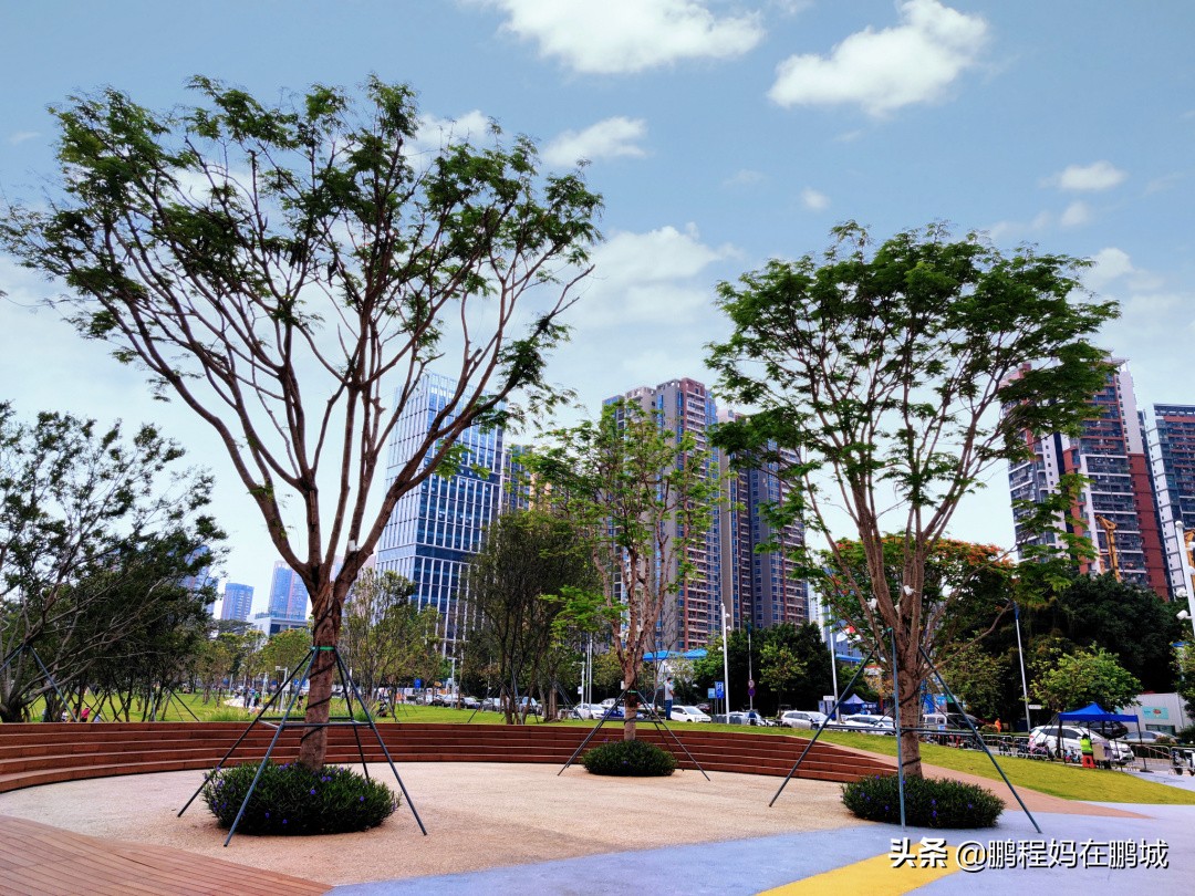 观澜最近翻新过的公园,龙华观澜中心公园