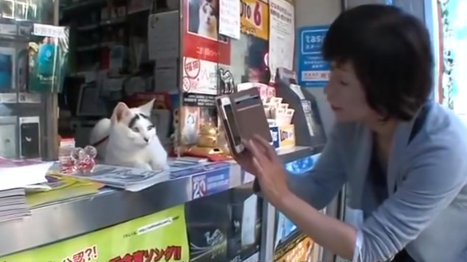 现实版招财喵，帮铲屎官实现月入过万，成为最强吉祥物！