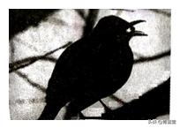 2021年江苏省苏州市初中生物结业考试