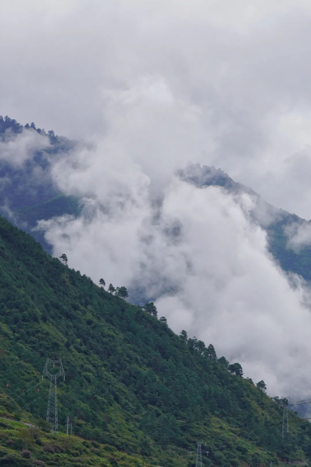暑假国内亲子游必去十大胜地推荐,江苏暑假避暑亲子游