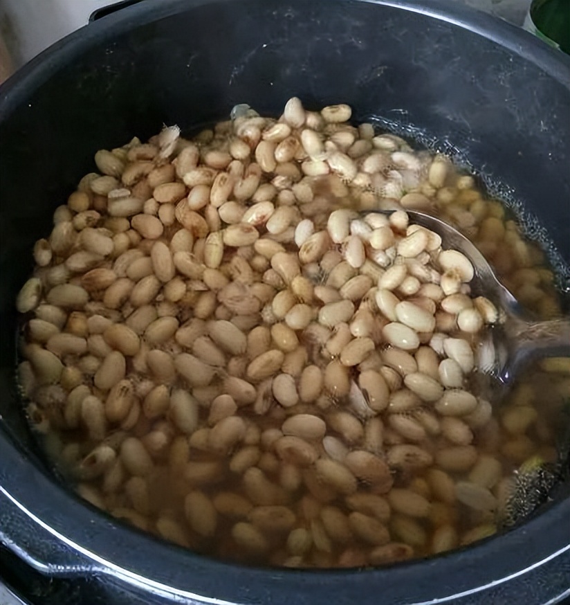 绿萝怎么养才能更旺盛浇什么水,绿萝水养的方法和注意事项