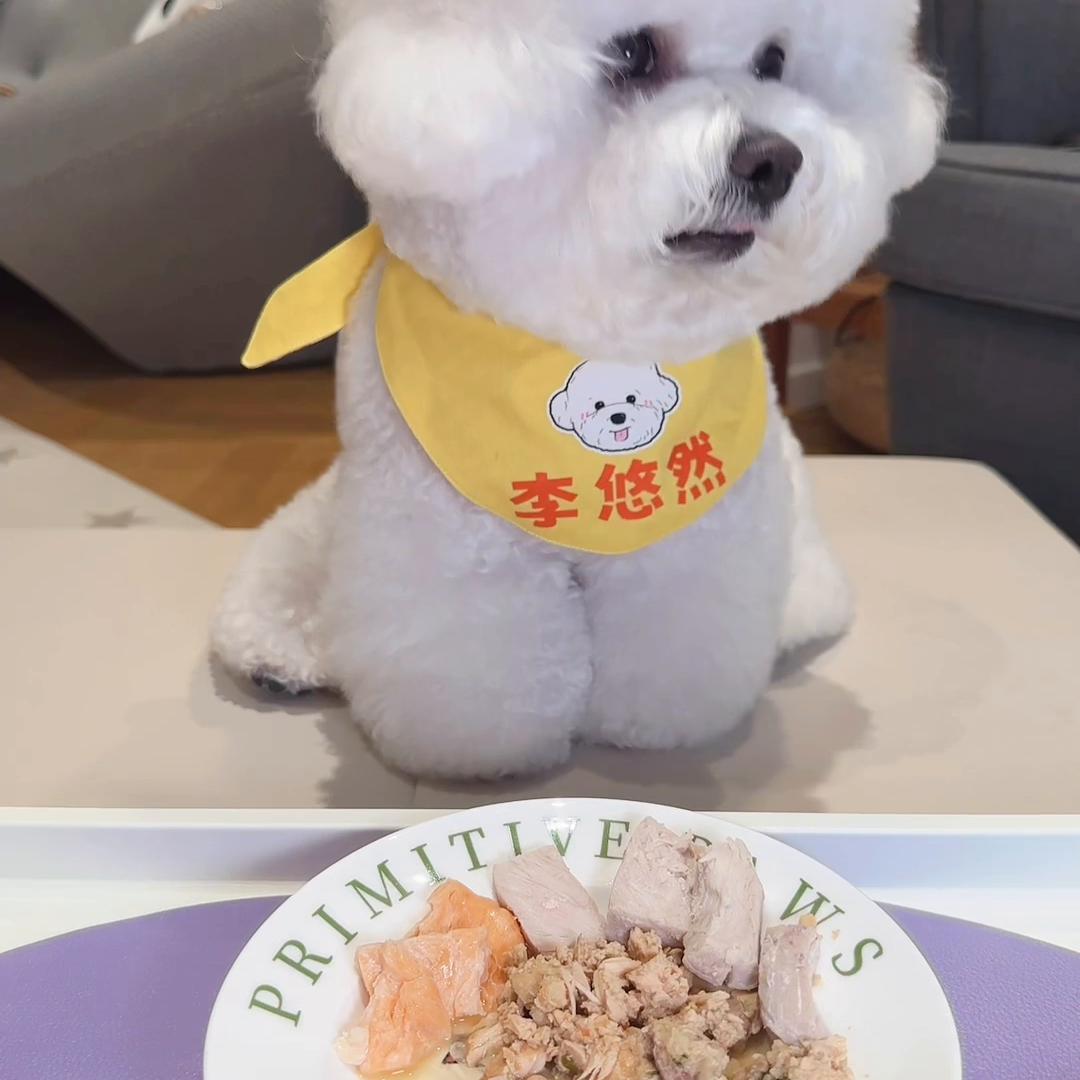 很久没发悠悠干饭啦，这吃完了感觉没吃一样#萌宠