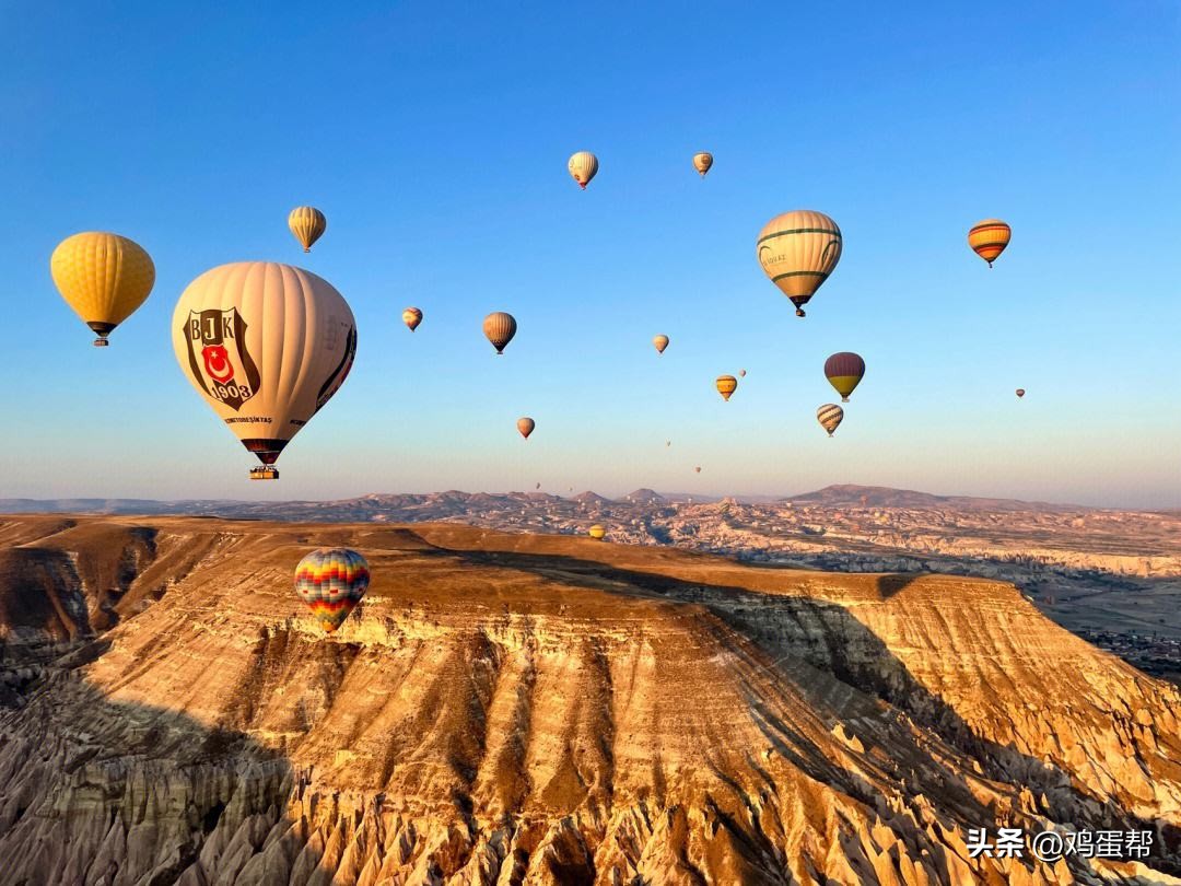 世界鸡肉产量排名,中国唯一出口欧美的鸡肉