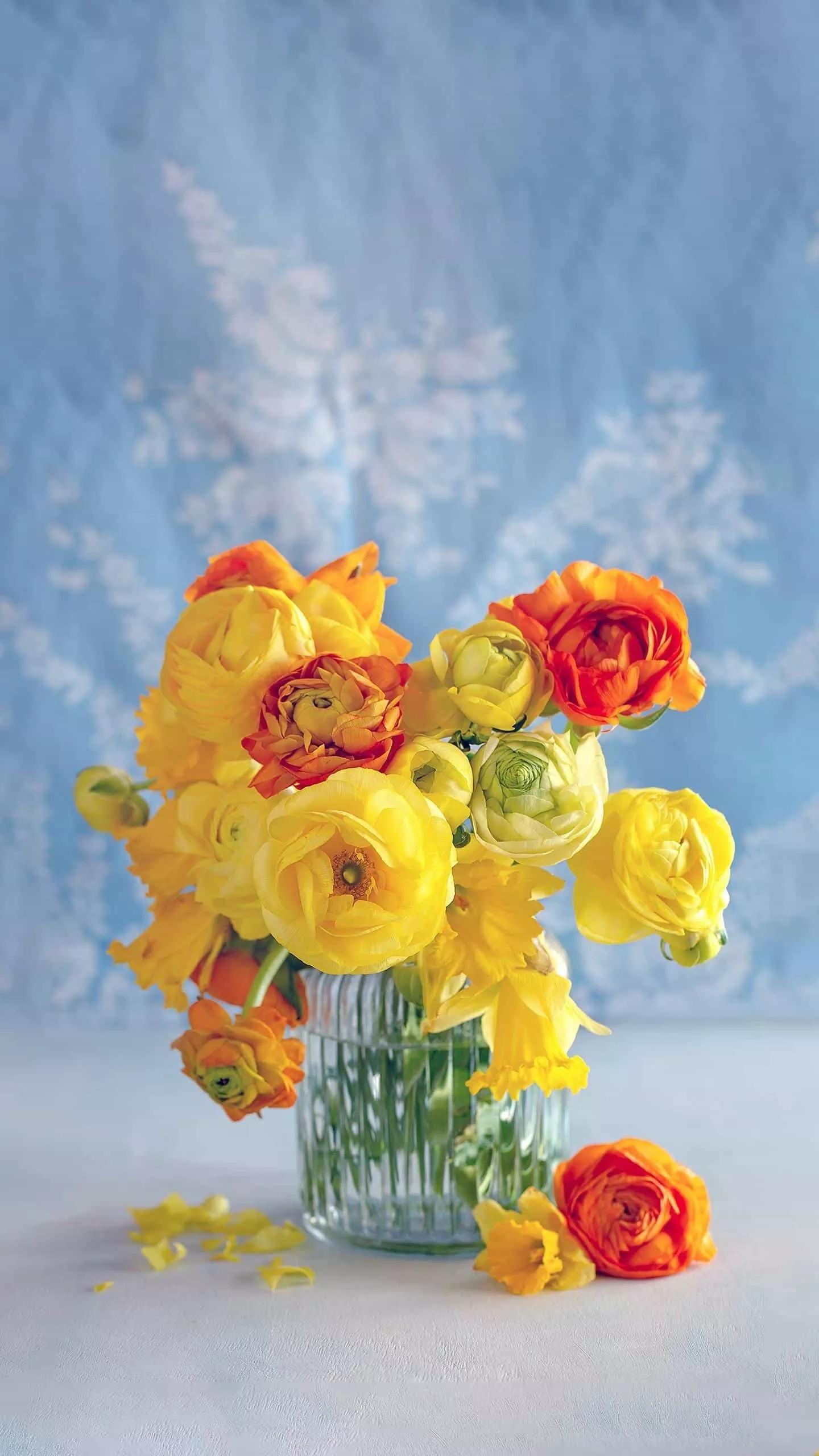 特殊句型有哪些,特殊句型归纳大全