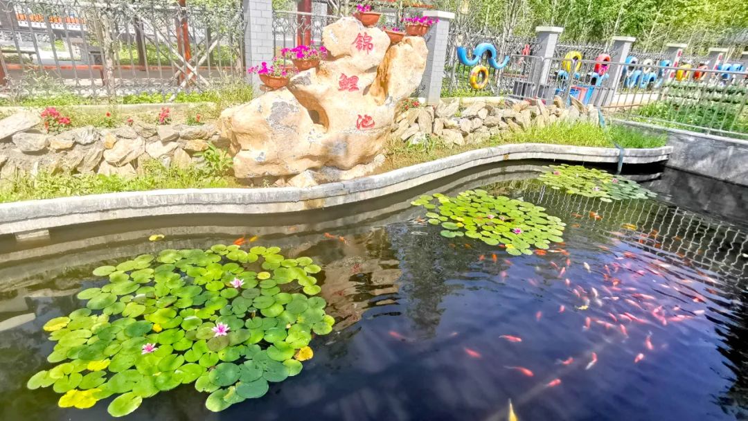 大连这个学校怎么样,大连的学校在山上