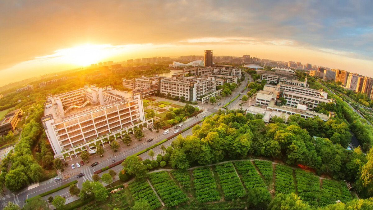 浙江高水平的高校将达到十所,浙江高校对比解读