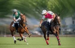 真正polo标志,polo衫图标含义